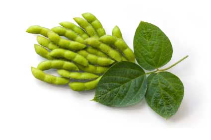 antioxidants soybeans
