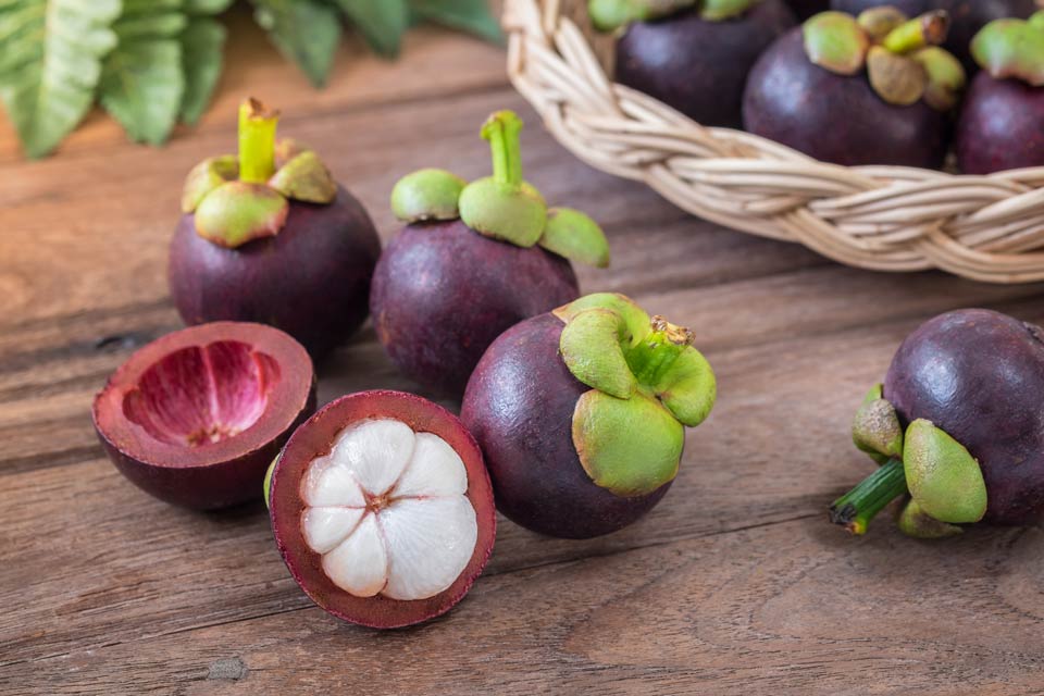 Mangosteen antioxidants_mangosteen
